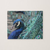 Proud Peacock Legpuzzel (Horizontaal)