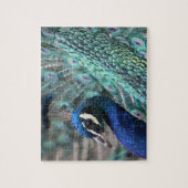 Proud Peacock Legpuzzel (Verticaal)