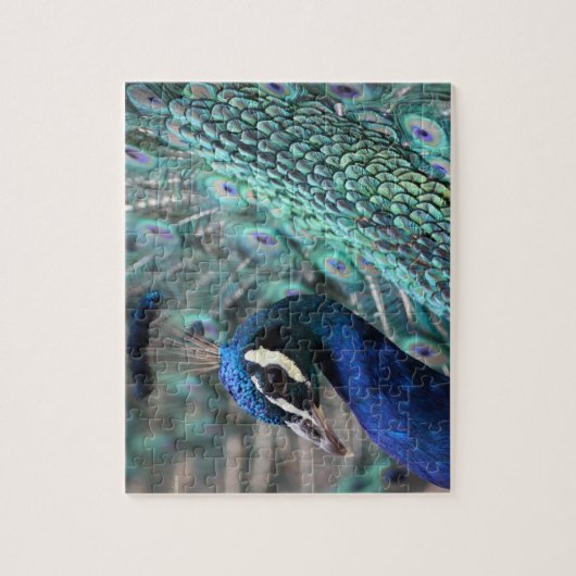 Proud Peacock Legpuzzel (Verticaal)