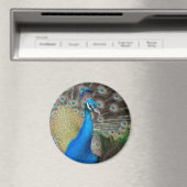 Proud Peacock Magneet (Insitu (Vaatwasser))