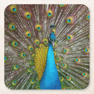 Proud Peacock met Royal Plumage on Display Kartonnen Onderzetters