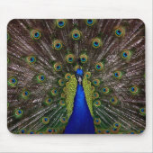 Proud Peacock mousepad Muismat (Voorkant)