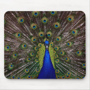 Proud Peacock mousepad Muismat