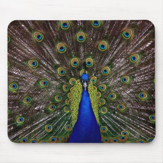 Proud Peacock mousepad Muismat (Voorkant)