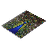 Proud Peacock notitieboek (Linkerzijde)