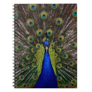 Proud Peacock notitieboek