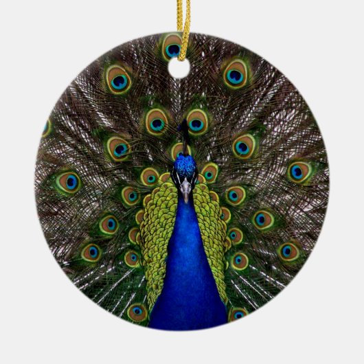 Proud Peacock ornament (Voorkant)