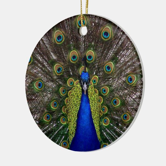 Proud Peacock ornament (Links)