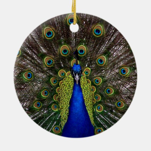 Proud Peacock ornament (Achterkant)