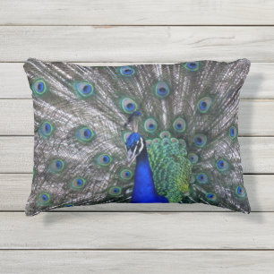 Proud Peacock Outdoor Accent Pillow Buitenkussen