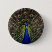 Proud Peacock-toets Ronde Button 5,7 Cm (Voorkant)