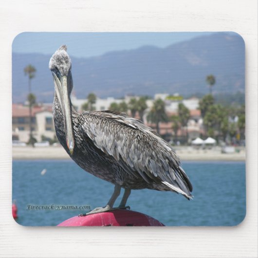 Proud Pelican Mousepad Muismat (Voorkant)