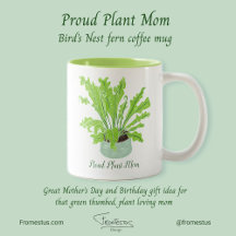 Proud Plant Mam - de nestfern van de vogel op wit.