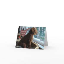 Proud Poodle - Missing You - Kaart