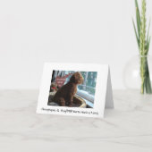 Proud Poodle - Missing You - Kaart (Achterkant)