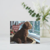 Proud Poodle - Missing You - Postcard Briefkaart (Staand voorkant)