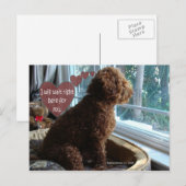 Proud Poodle - Missing You - Postcard Briefkaart (Voorkant / Achterkant)