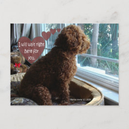 Proud Poodle - Missing You - Postcard Briefkaart