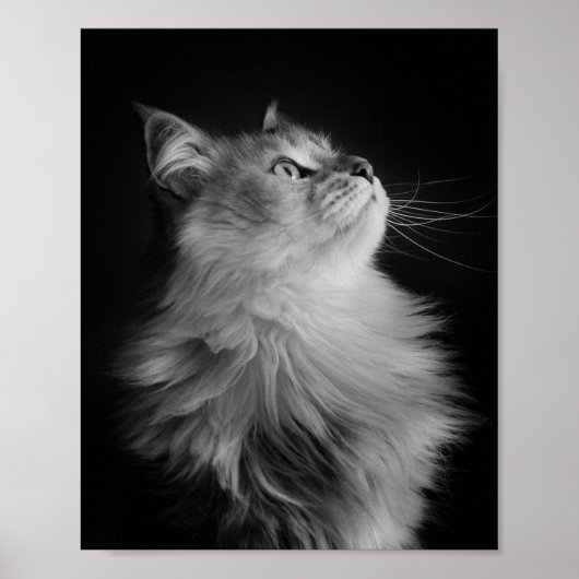 Proud Poster (Voorkant)