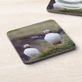 Proud Puffin Bier Onderzetter (Linkerzijde)