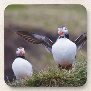 Proud Puffin Bier Onderzetter