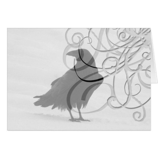 Proud Raven (Voorkant Horizontaal)