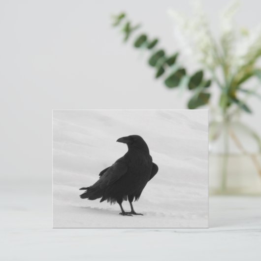 Proud Raven Briefkaart (Staand voorkant)