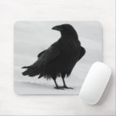 Proud Raven Muismat (Met muis)