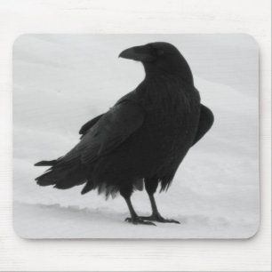 Proud Raven Muismat