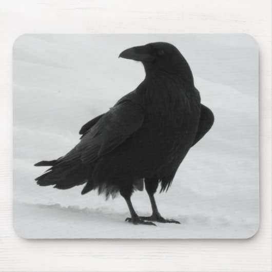 Proud Raven Muismat (Voorkant)