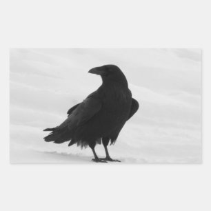 Proud Raven Rechthoekige Sticker