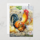 Proud Rooster Briefkaart (Voorkant / Achterkant)