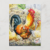 Proud Rooster Briefkaart (Voorkant)