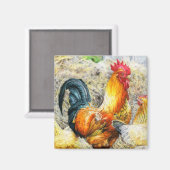 Proud Rooster Magneet (Voorkant / Achterkant)