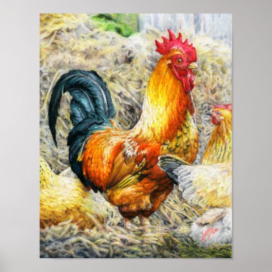 Proud Rooster Poster (Voorkant)