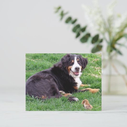 Proud Serena Briefkaart (Staand voorkant)