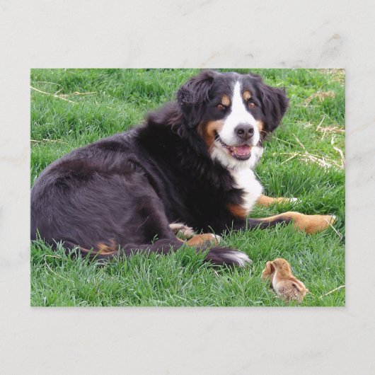 Proud Serena Briefkaart (Voorkant)