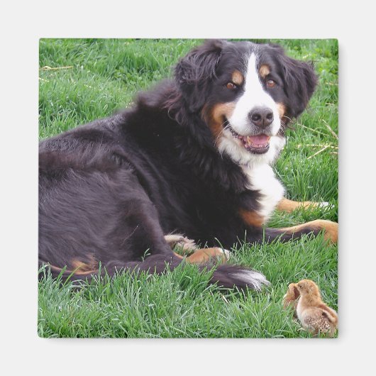 Proud Serena Magneet (Voorkant)