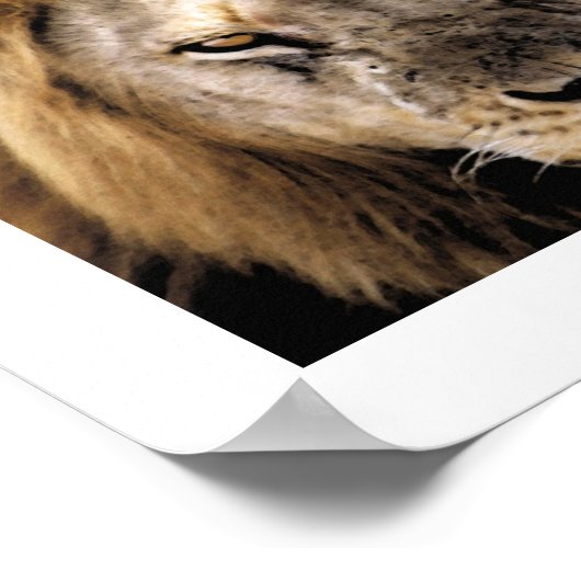 Proud Simba - Serengeti Poster (Hoek)