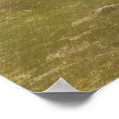 Proud Traditions barn, quilt op regenachtige dag Poster (Hoek)