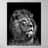 Proud Young Lion Poster (Voorkant)