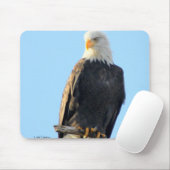 Prouly Perched Muismat (Met muis)