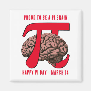 PROUT OM EEN PI BRAIN Pi-dag TE ZIJN Magneet