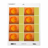 Provence Apple Etiket (Full Sheet)
