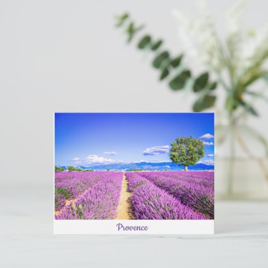 Provence Briefkaart (Staand voorkant)