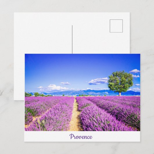 Provence Briefkaart (Voorkant / Achterkant)