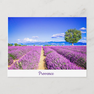 Provence Briefkaart