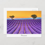Provence Briefkaart (Voorkant / Achterkant)