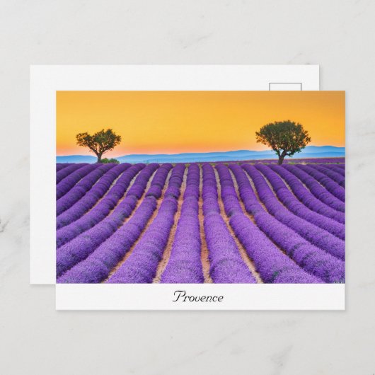 Provence Briefkaart (Voorkant / Achterkant)