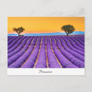Provence Briefkaart